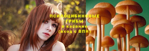 мет Елизово