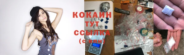 мет Елизово