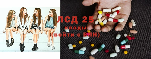 мет Елизово