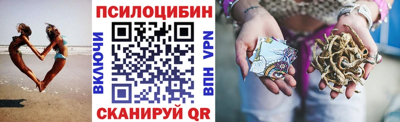 Купить  Кызыл  Галлюциногенные грибы GOLDEN TEACHER 